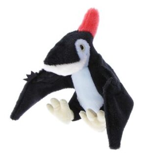 Small Pteranodon Soft Toy