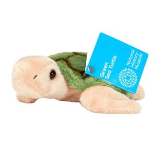 Small Green Sea Turtle Soft Toy