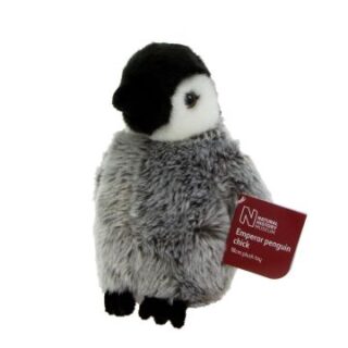 Emperor Penguin Chick Soft Toy