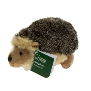 Hedgehog Soft Toy