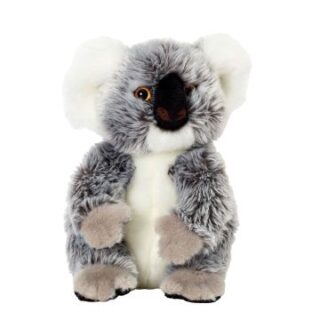 Koala Soft Toy